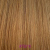 Human hair ponytail extension 7B - 16 - 01